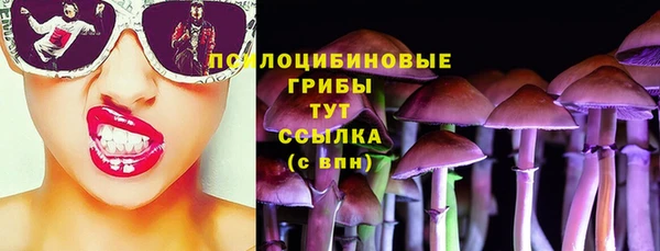 стаф Верхний Тагил
