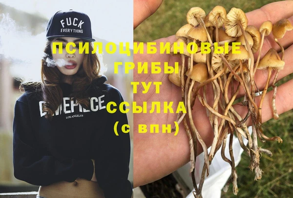 стаф Верхний Тагил