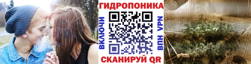 где найти   Северская  Каннабис White Widow 
